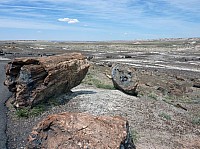 Crystal forest FP (15).JPG